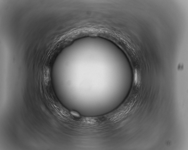 X0000100771492200806261530
