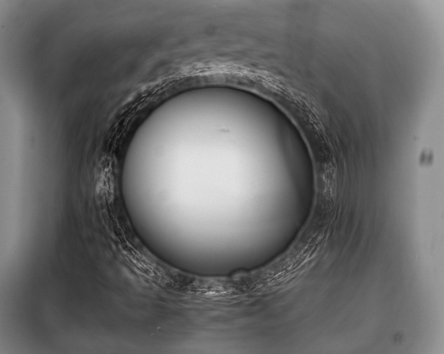 X0000100771493200806261530