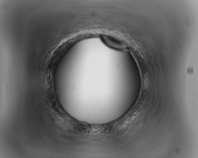 X0000100771494200806261530