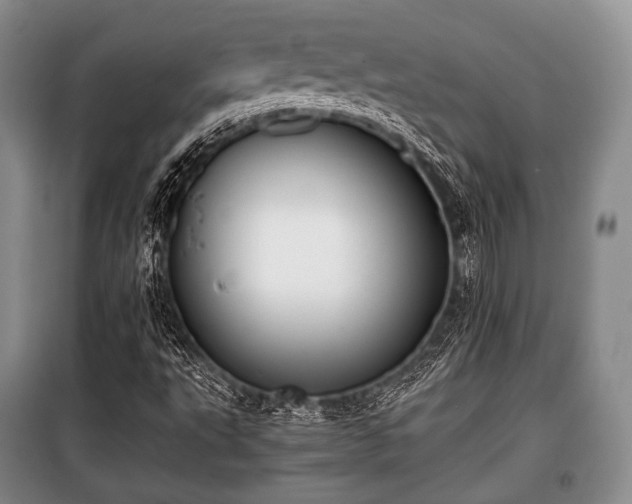X0000100771495200806261530