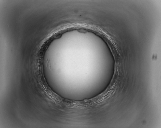 X0000100771496200806261530