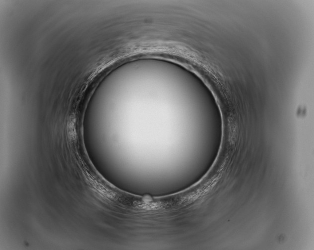 X0000100771497200806261530