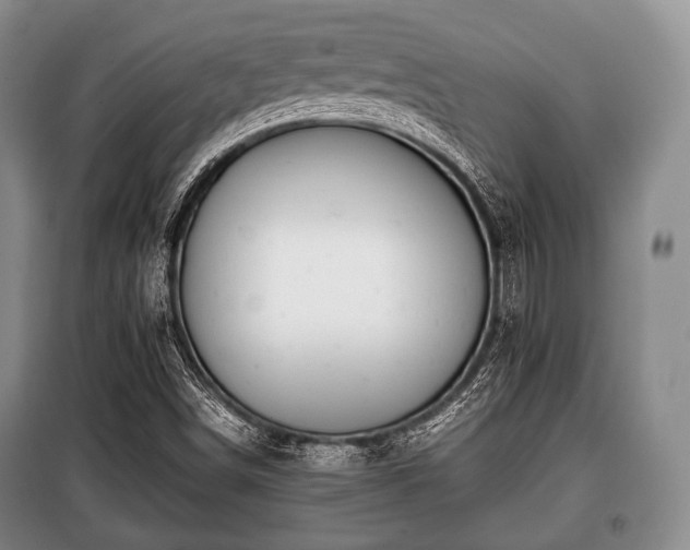 X0000100771498200806261530