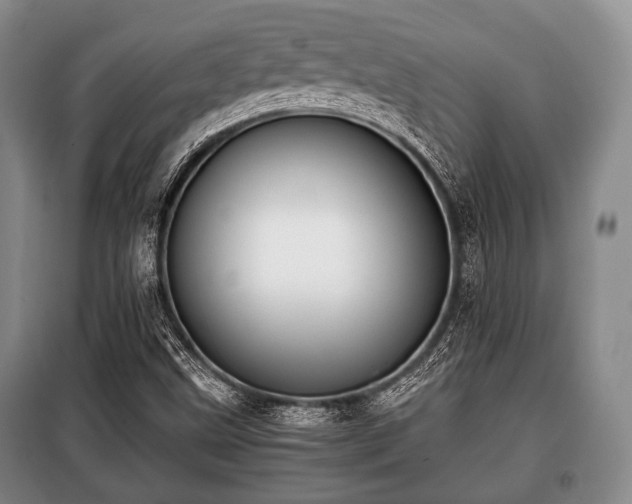 X0000100771499200806261530