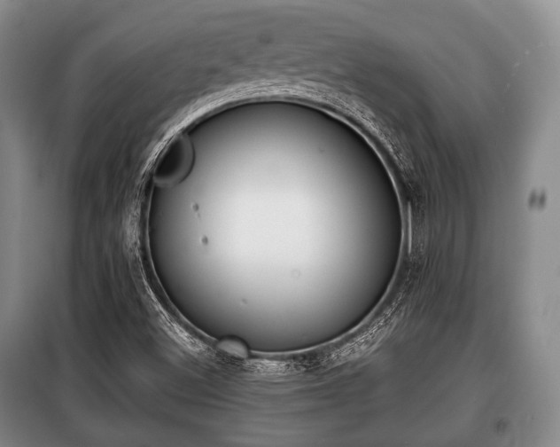 X0000100771500200806261530