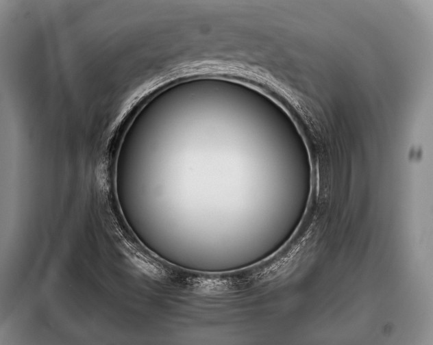 X0000100771501200806261530