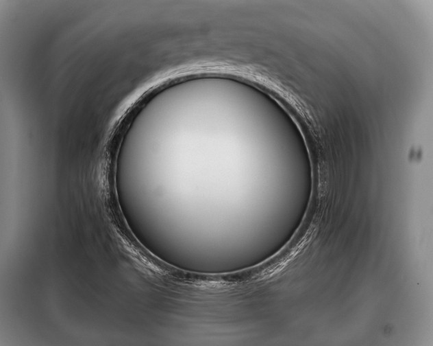 X0000100771502200806261530