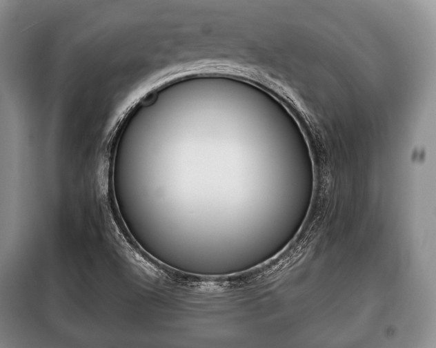 X0000100771504200806261531
