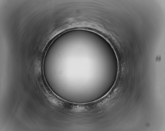X0000100771505200806261531