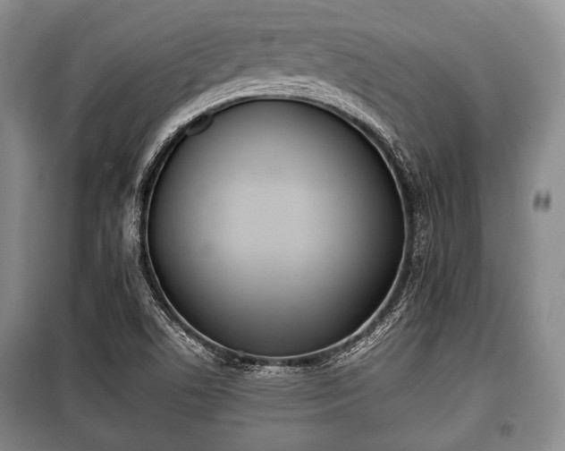 X0000100771506200806261531