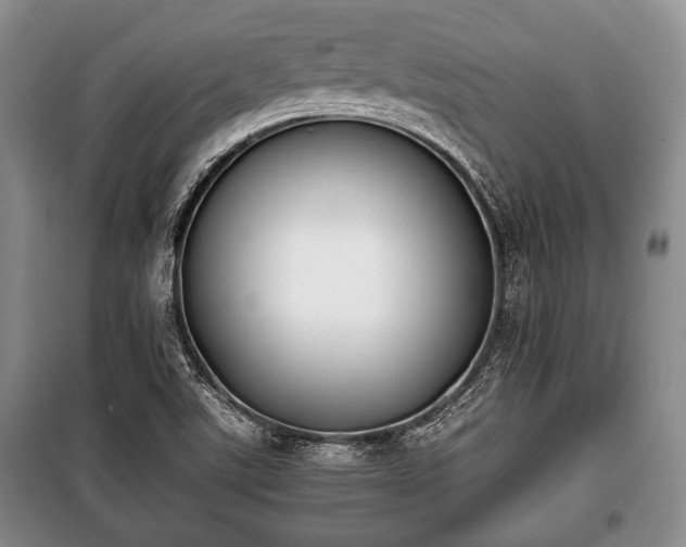 X0000100771507200806261531