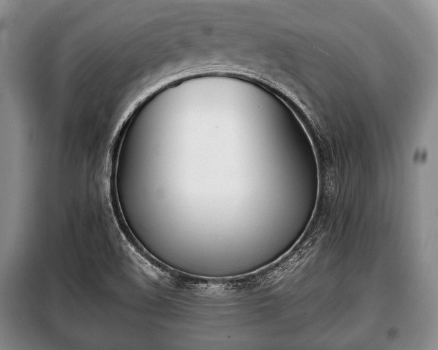 X0000100771508200806261531