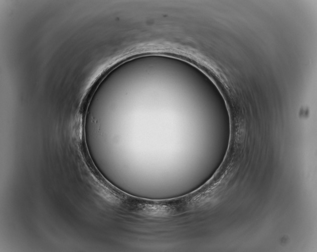 X0000100771509200806261531