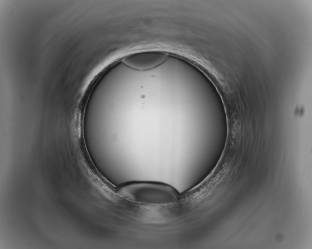 X0000100771510200806261531