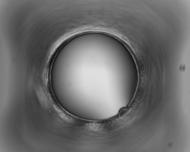 X0000100771511200806261531