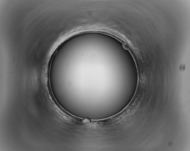 X0000100771512200806261531