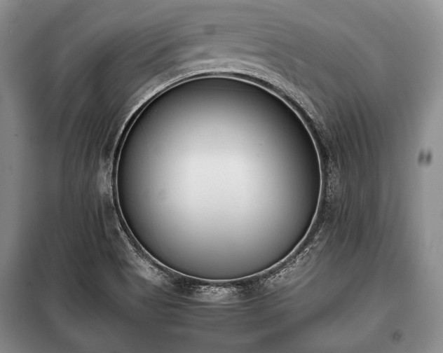 X0000100771513200806261531