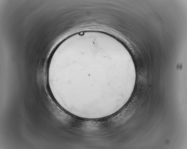 X0000100771514200806261531