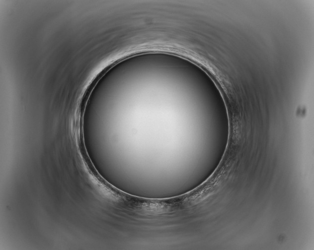 X0000100771515200806261531