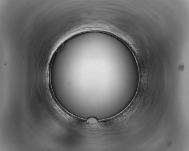 X0000100771516200806261531