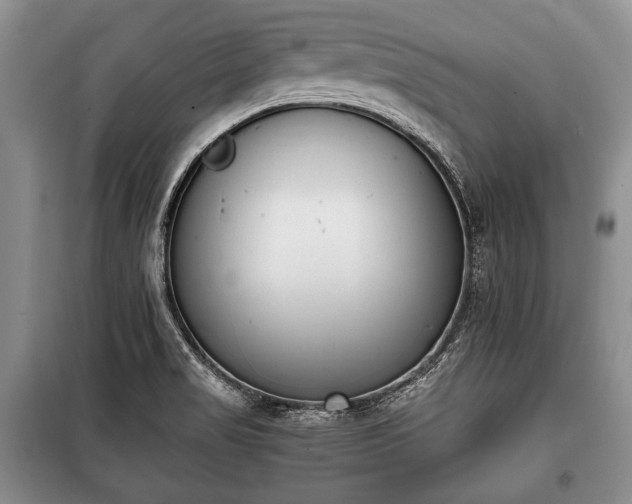 X0000100771517200806261531