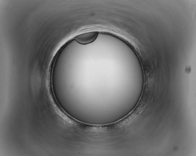 X0000100771518200806261531