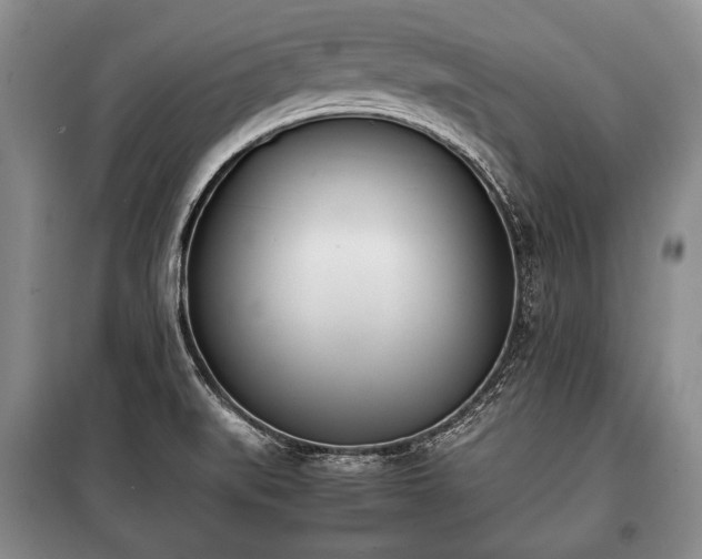 X0000100771519200806261531