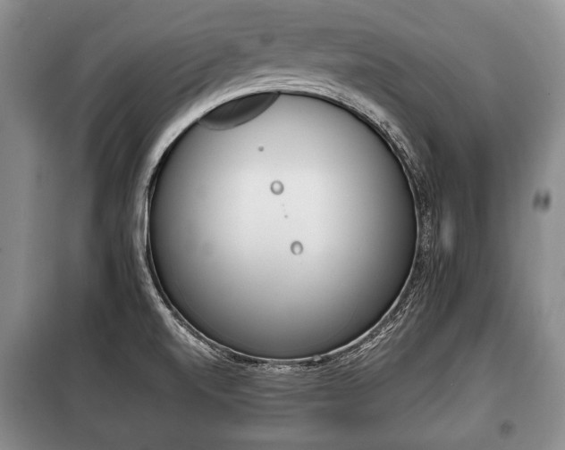 X0000100771520200806261531