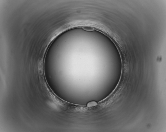 X0000100771521200806261531