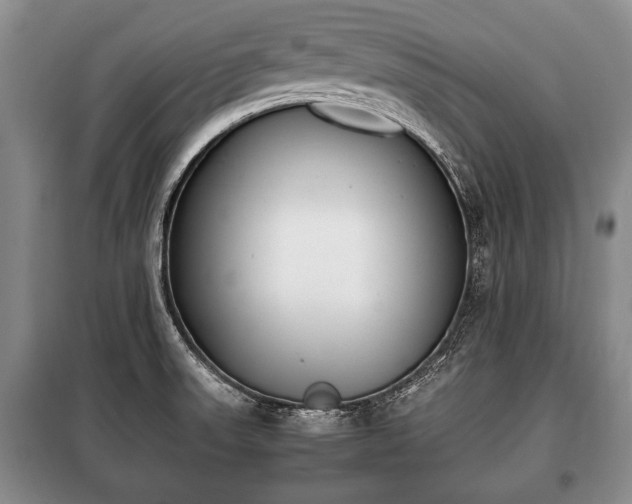 X0000100771523200806261531