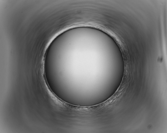 X0000100771524200806261531