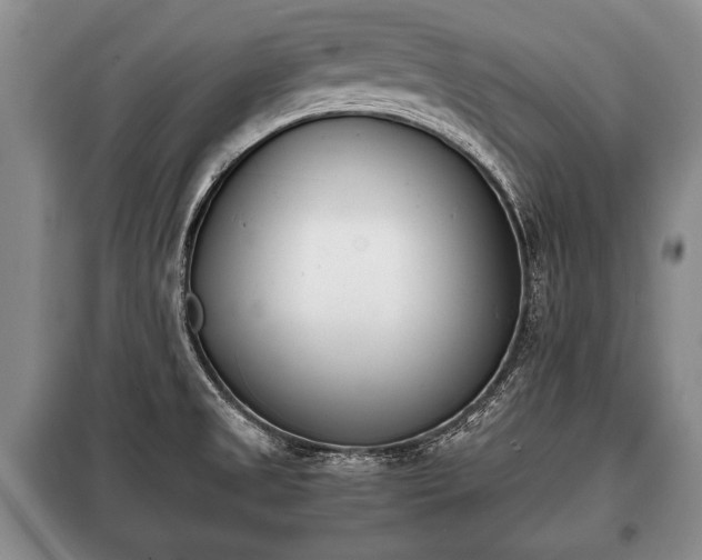 X0000100771525200806261531