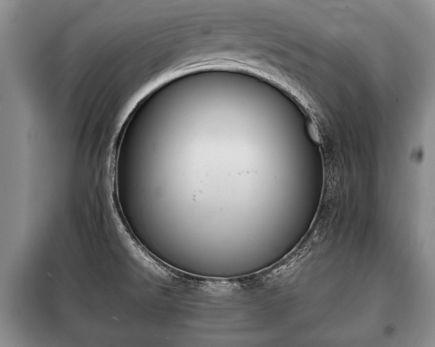 X0000100771526200806261531