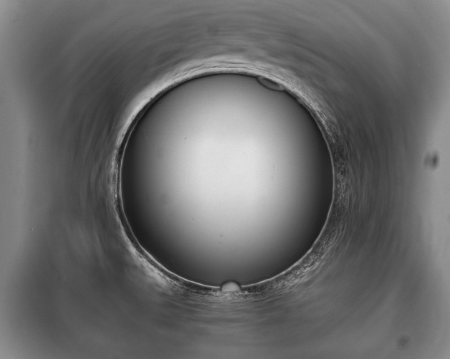 X0000100771527200806261531