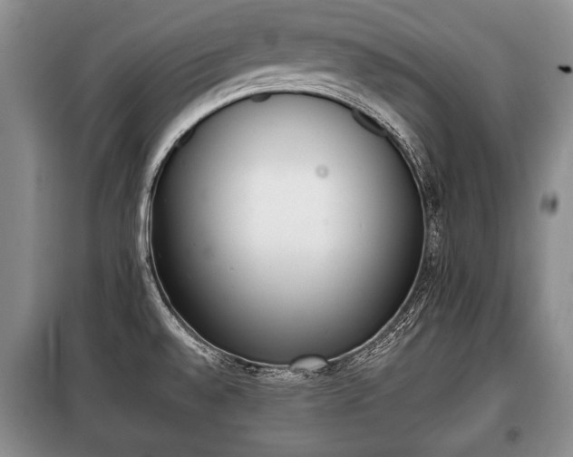 X0000100771528200806261531