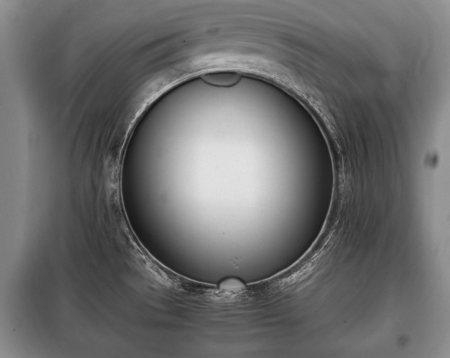 X0000100771529200806261531