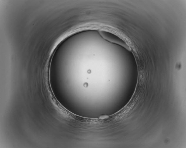 X0000100771530200806261531