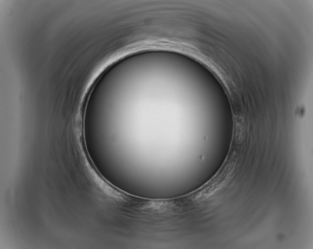 X0000100771531200806261531