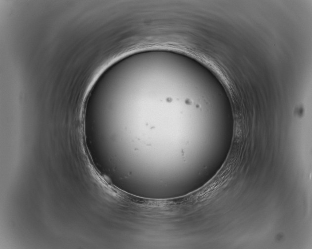 X0000100771532200806261531