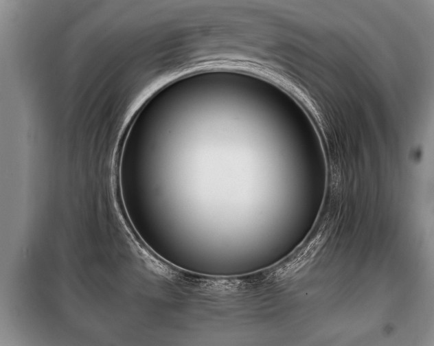 X0000100771533200806261531