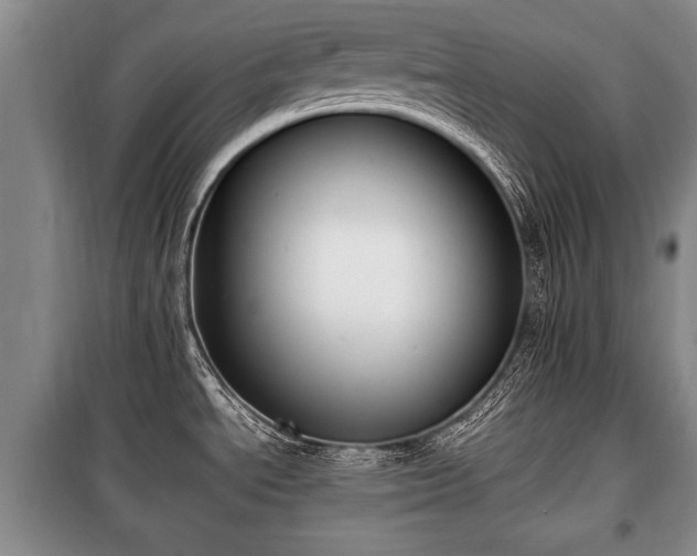 X0000100771534200806261531