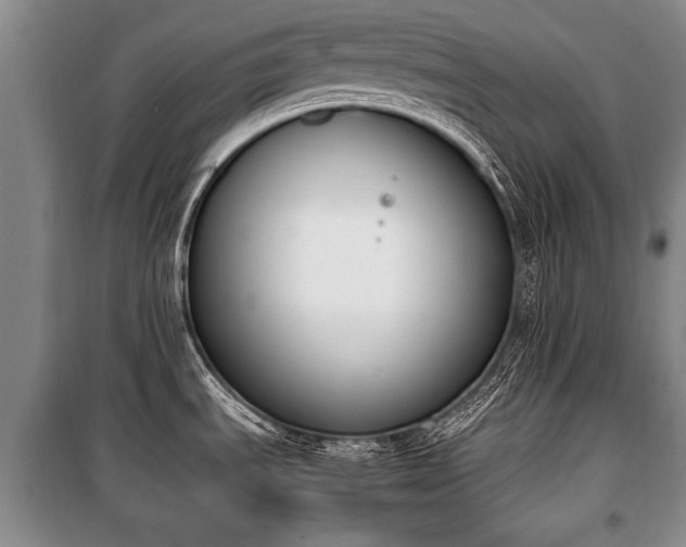 X0000100771535200806261531