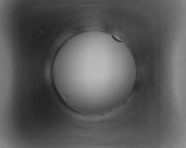 X0000100770002200807031220