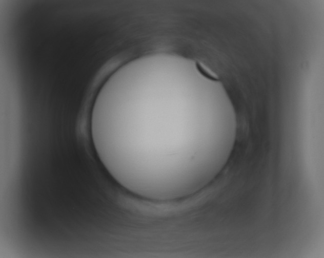 X0000100770006200807031220