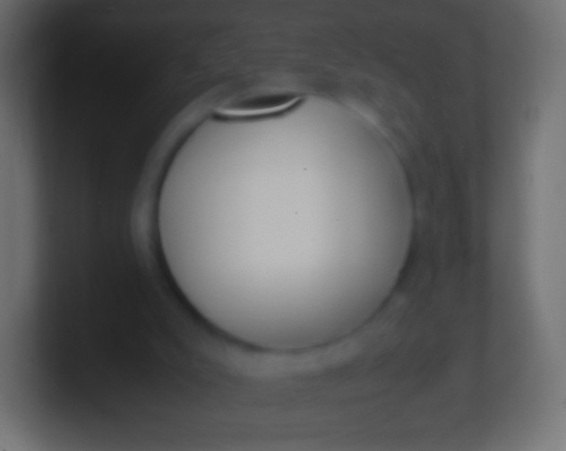 X0000100770007200807031220