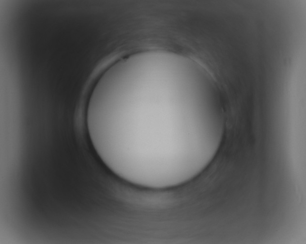X0000100770008200807031220
