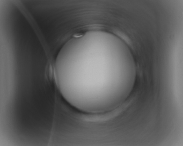 X0000100770013200807031220