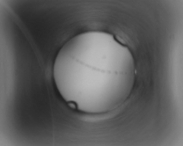 X0000100770017200807031220