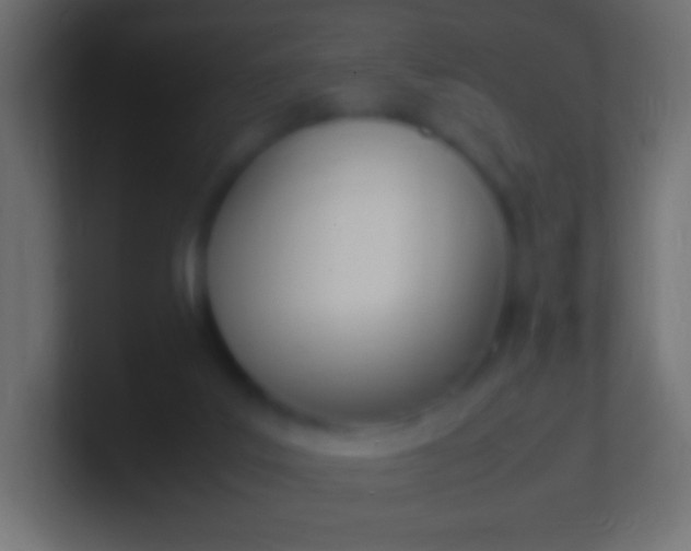 X0000100770019200807031220