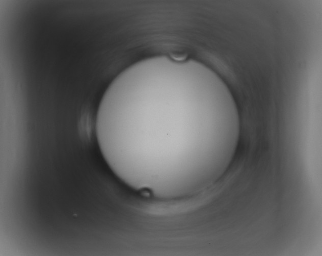 X0000100770021200807031220
